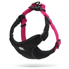 True Love Urban Dog Harness - Pink, S-1962324866938048512