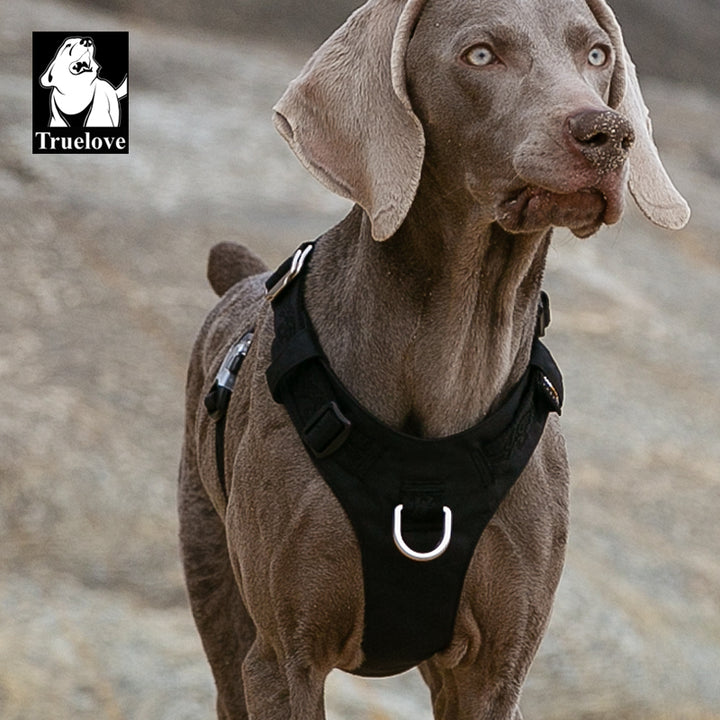 True Love Lightweight Dog Harness - Black, S-1962324857962237958