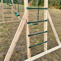Lifespan Kids Daintree 2-in-1 Monkey Bars & Swing Set