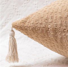 Brown Modern Minimalist Velvet Pillow Covers - Tassel Accent Cushion Covers - 45x45cm (Set of 2)