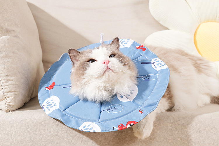 2 Pcs Size L Blue Comfortable Pet Recovery Collar | Waterproof Anti-Lick Collar for Cats & Dogs