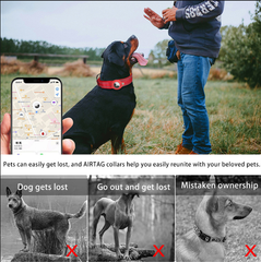 M Orange Secure Nylon Dog Collar with Built-in Apple AirTag (not included) Holder Case - Pet Tracker Accessory