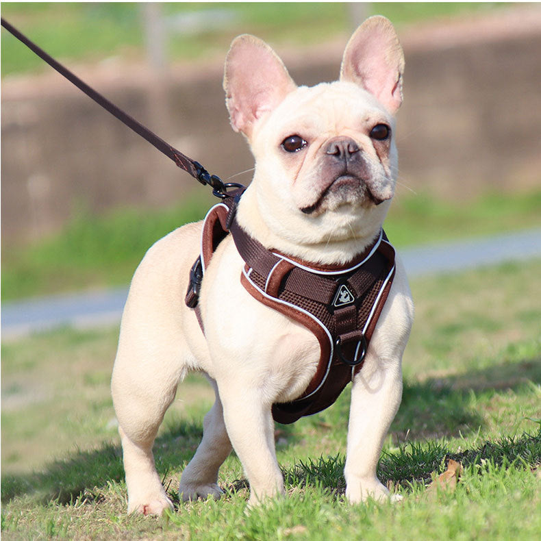 Brown Reflective Mesh Dog Harness and Leash Set - Adjustable No-Pull Vest - L