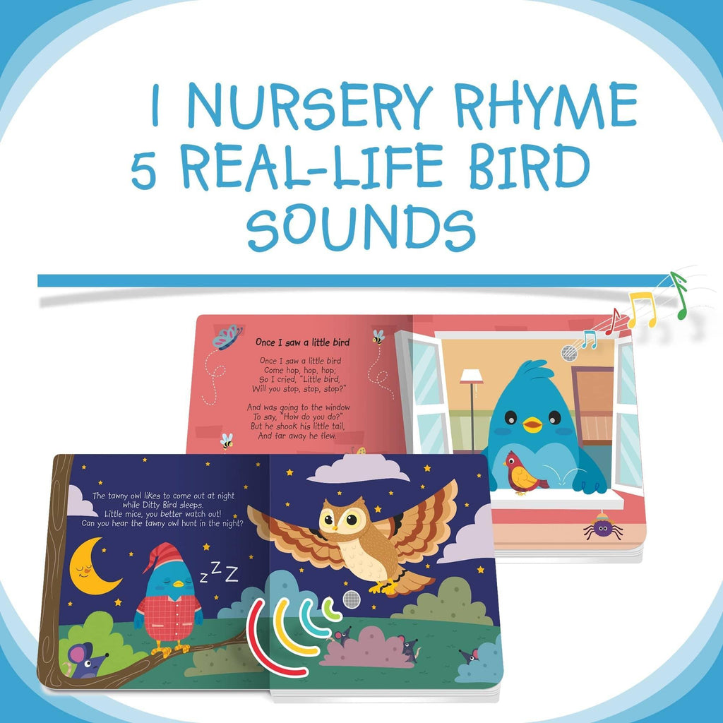 Ditty Bird - Bird Songs-1954803149676089346