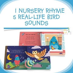 Ditty Bird - Bird Songs-1954803149676089346