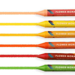Flower Monaco Palmy Crayons 24 Colour-1954803153346105348