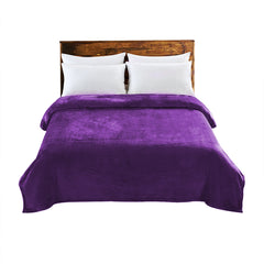 DreamZ 320GSM 220x240cm Ultra Soft Mink Aubergine Queen-1954802936748052480