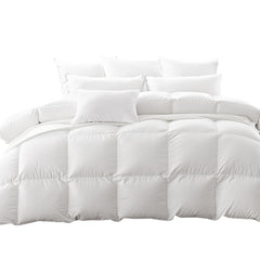DreamZ 500GSM All Season Goose Down Queen-1954803026946560000