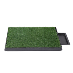 PaWz Indoor Dog Pet Grass Potty Training-1954802530315800577