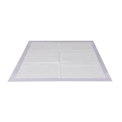 PaWz 200x Pet Dog Toilet Training Pad-1954802567473139713
