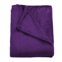 DreamZ 320GSM 220x240cm Ultra Soft Mink Aubergine Queen-1954802936748052481