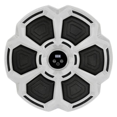 Centra Electronic Punching Box Music Machine Wall Mounted Bluetooth 9 Speeds-1954802364275888129