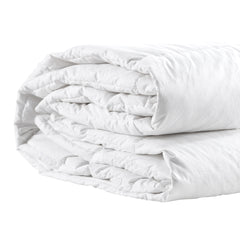 DreamZ 500GSM All Season Goose Down King Single-1954803026762010628