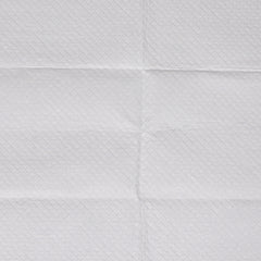 PaWz 200x Pet Dog Toilet Training Pad-1954802567473139717