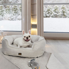 PaWz Pet Bed Set Dog Cat Quilted Blanket X-Large Beige-1954802524368277511