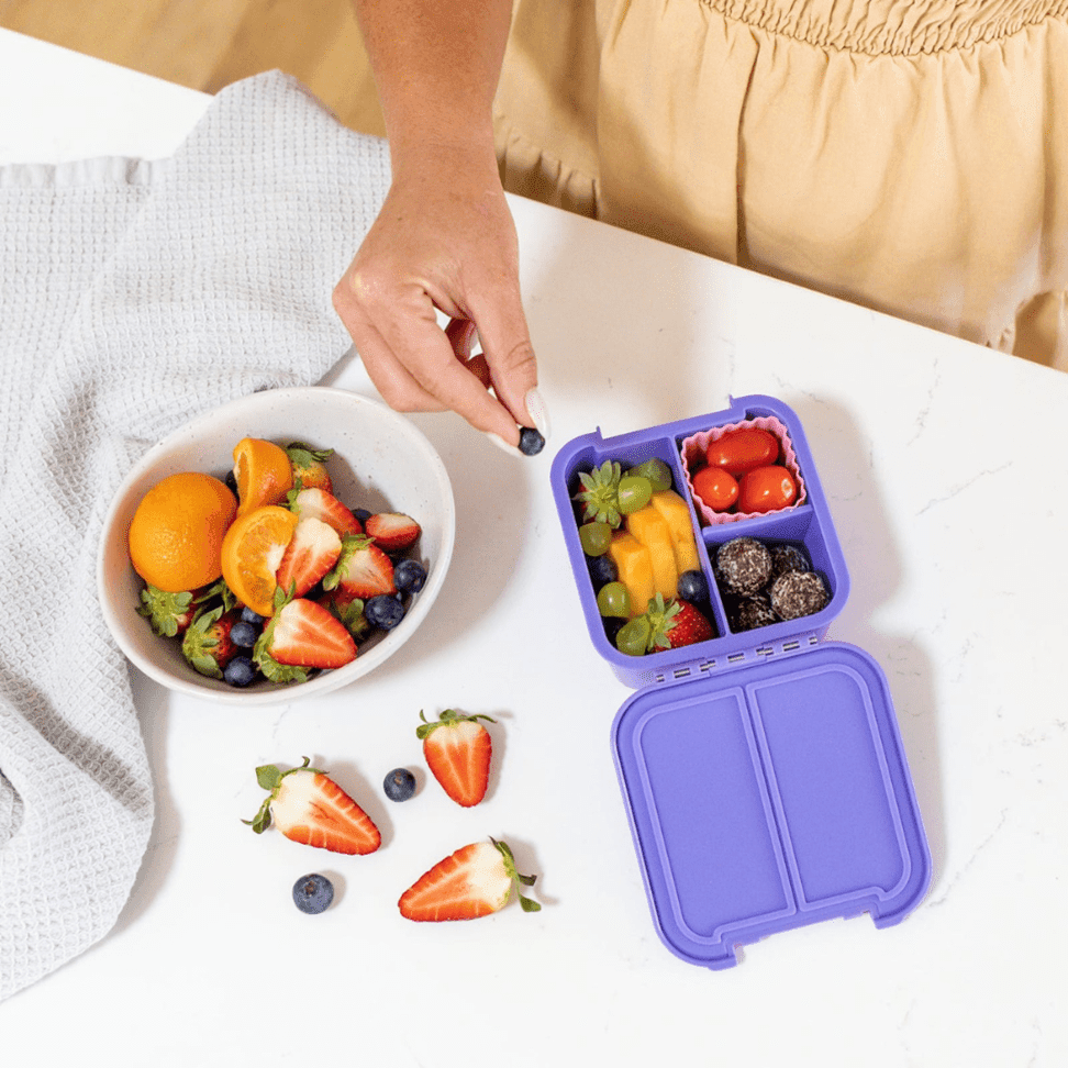 Little Lunch Box Co Bento Two Apple-1954803061880918018