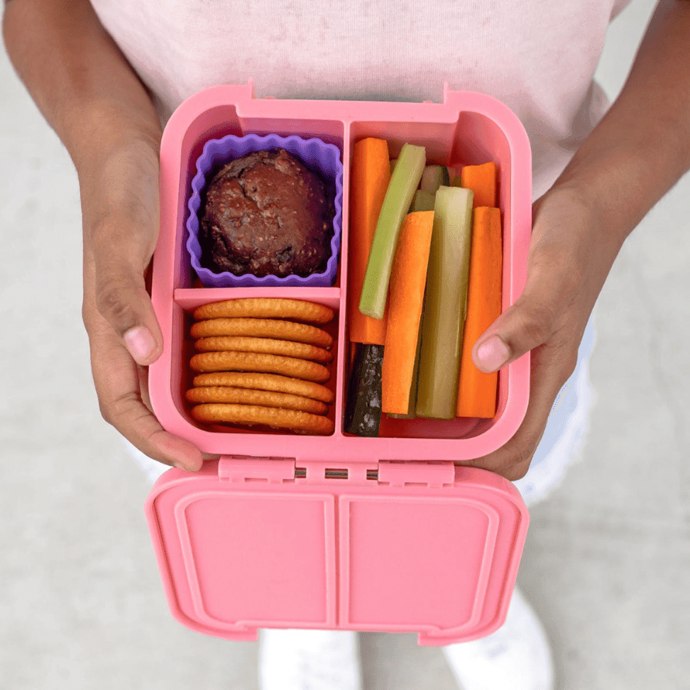 Little Lunch Box Co Bento Two Apple-1954803061880918020