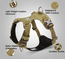 True Love Lightweight Dog Harness - Green, XL-1962324859568656386