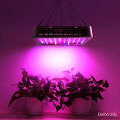 Green Fingers 1000W Grow Light LED Full Spectrum Indoor Plant All Stage Growth