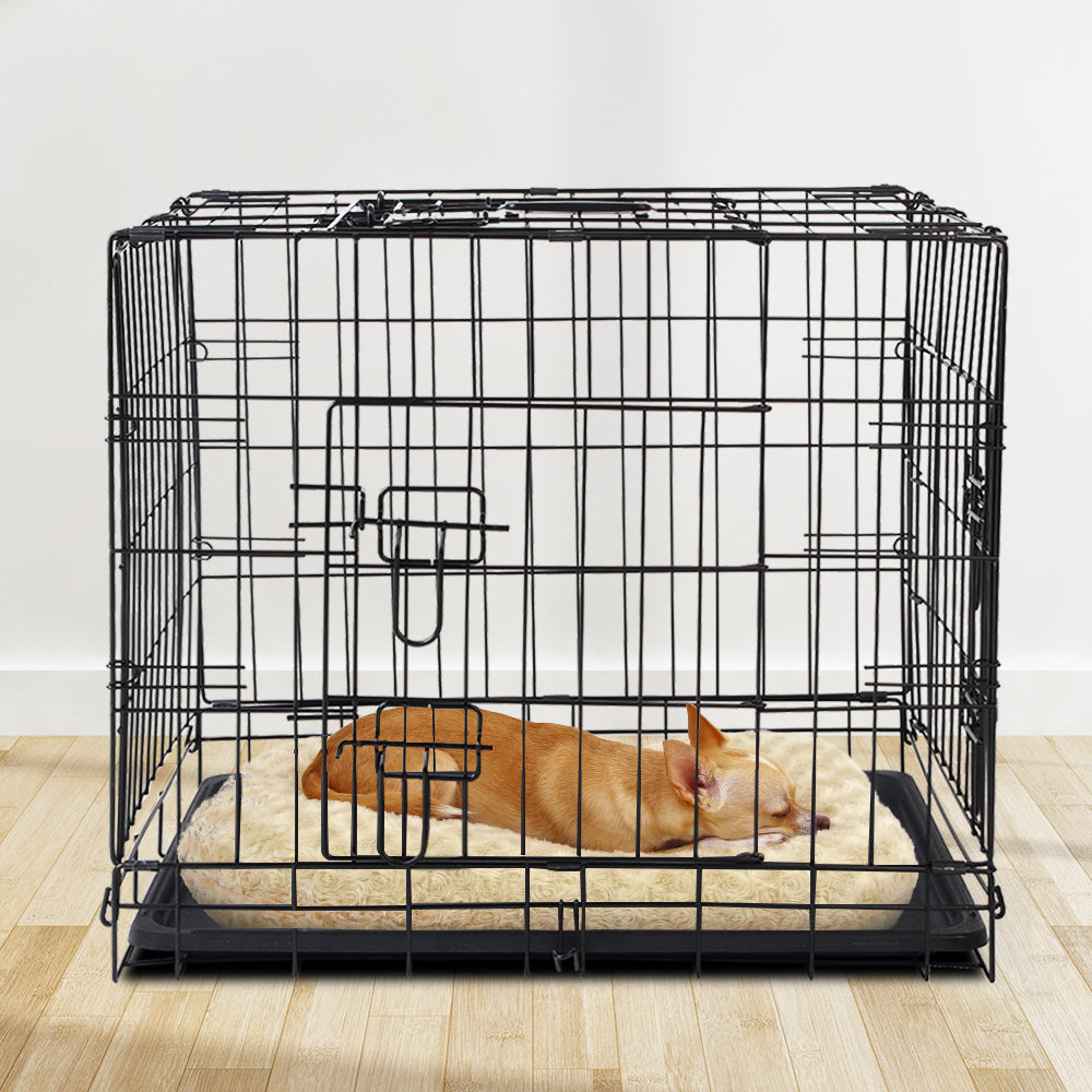 i.Pet 24
