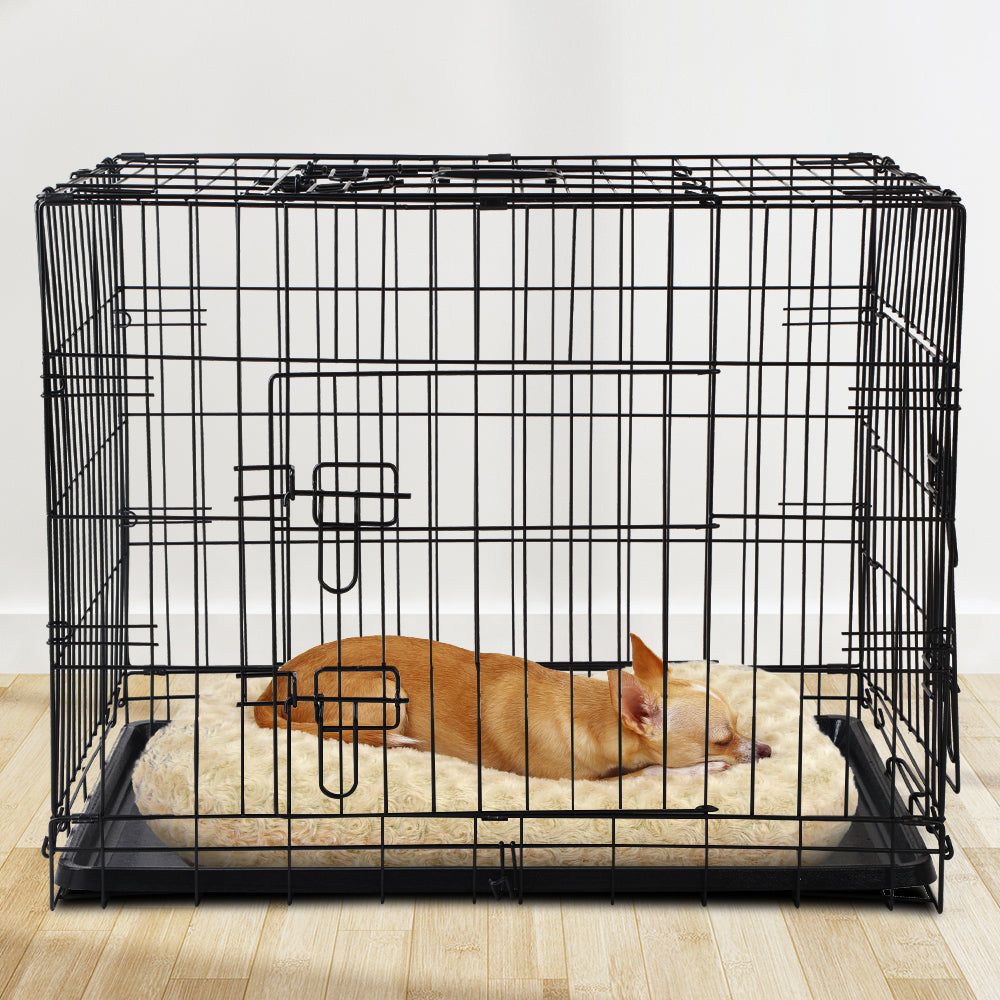 i.Pet 36