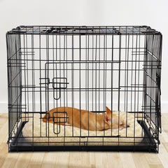 i.Pet 36