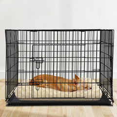 i.Pet 42
