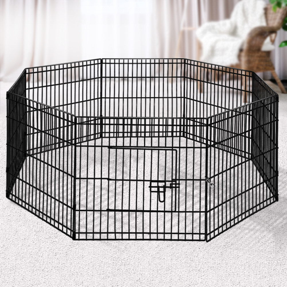 i.Pet 2X24