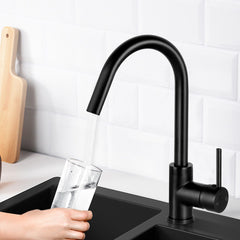 Cefito Kitchen Mixer Tap Mixer Round Sink Faucet Basin Laundry Black