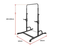 Bench Press Gym Rack and Chin Up Bar